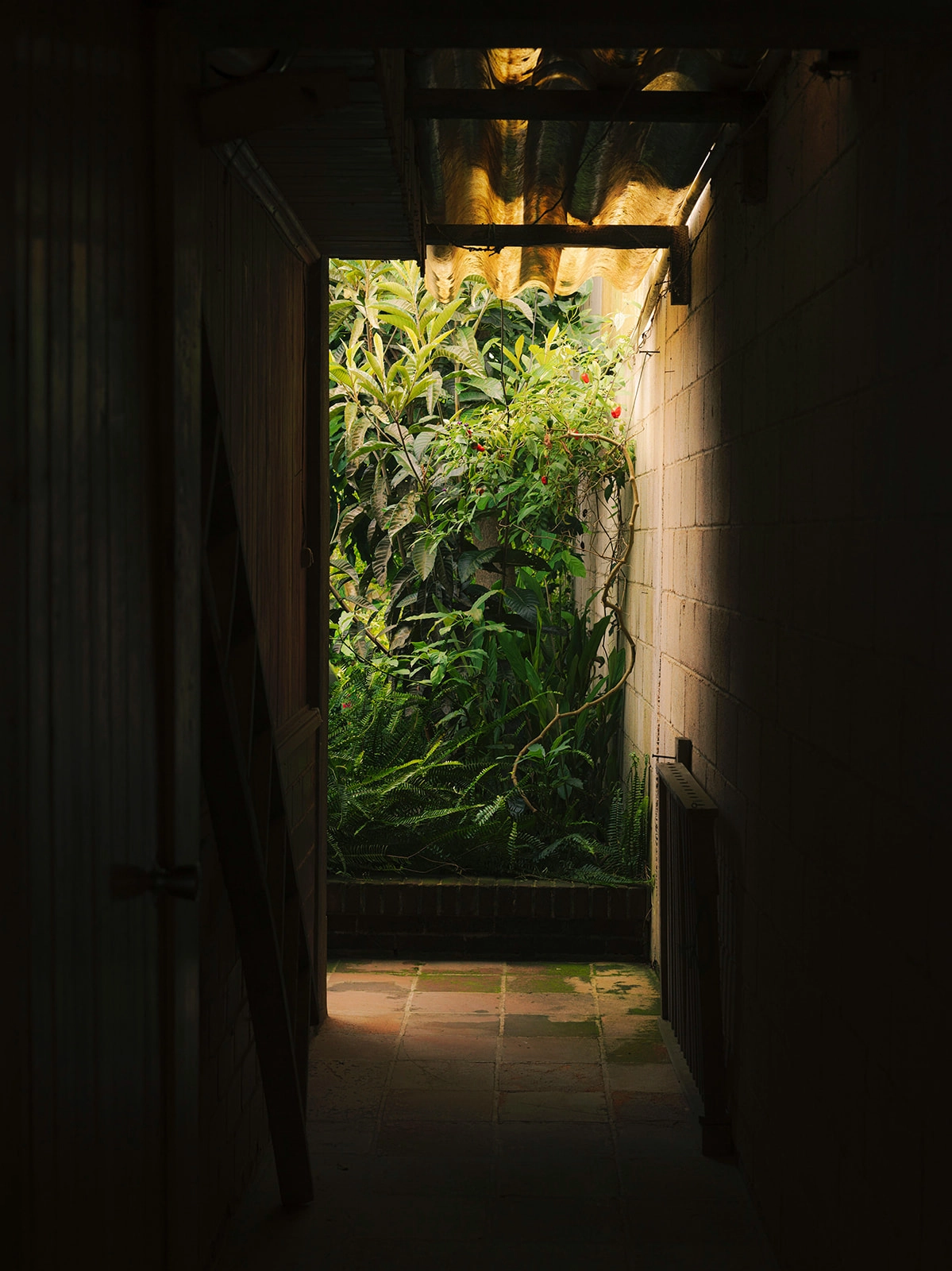 RB Curated—Lidia Serech hover A