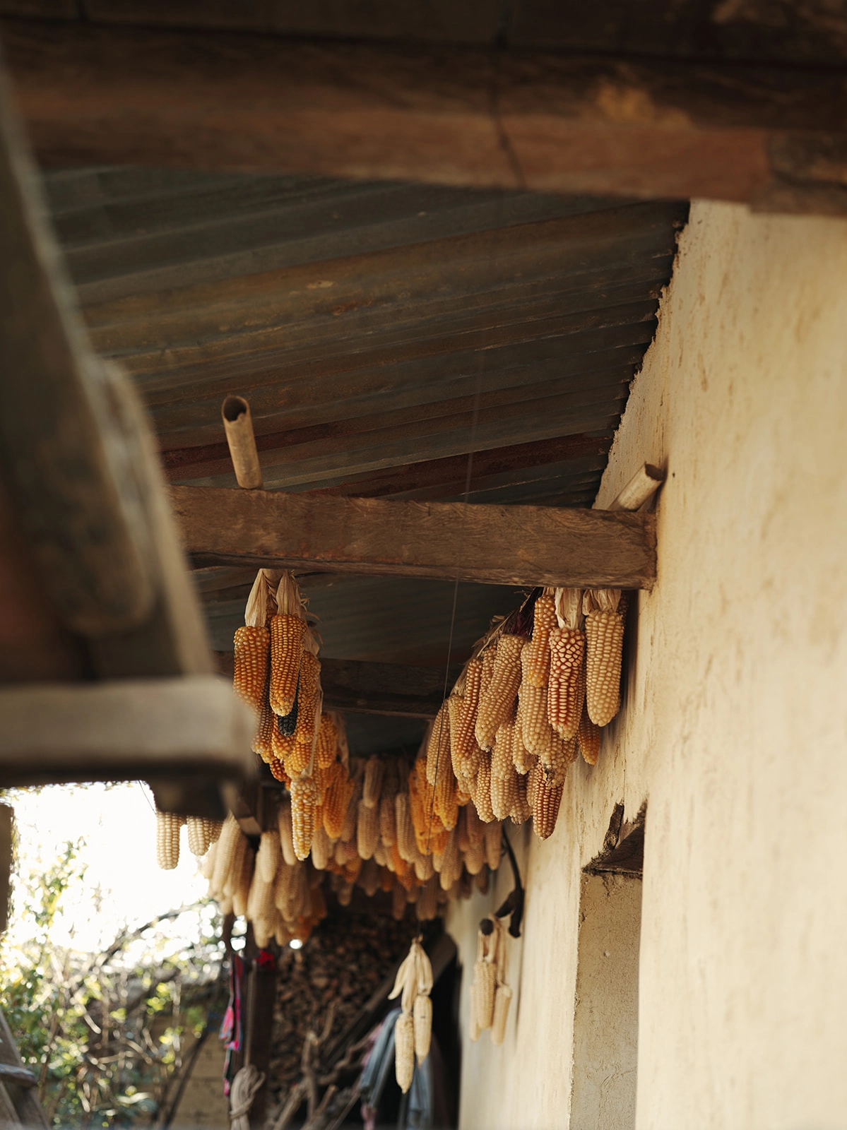 RB Curated—Nawal Ja’ hover A